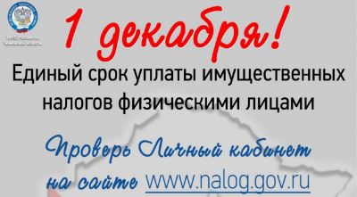 1 декабря 2025 года — единый срок уплаты имущественных налогов физическими лицами