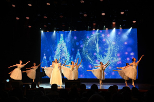 Сегодня наша школа искусств "Гармония" подарила нам настоящую зимнюю сказку!