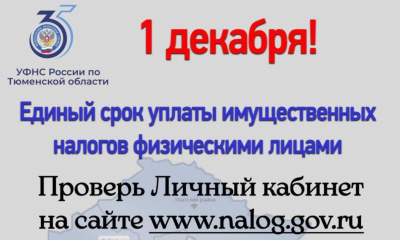 1 декабря — единый срок уплаты всех имущественных налогов за прошлый календарный год.