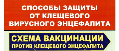 ПРАВИЛА  ПОВЕДЕНИЯ НА ТЕРРИТОРИИ, ОПАСНОЙ В ОТНОШЕНИИ КЛЕЩЕЙ